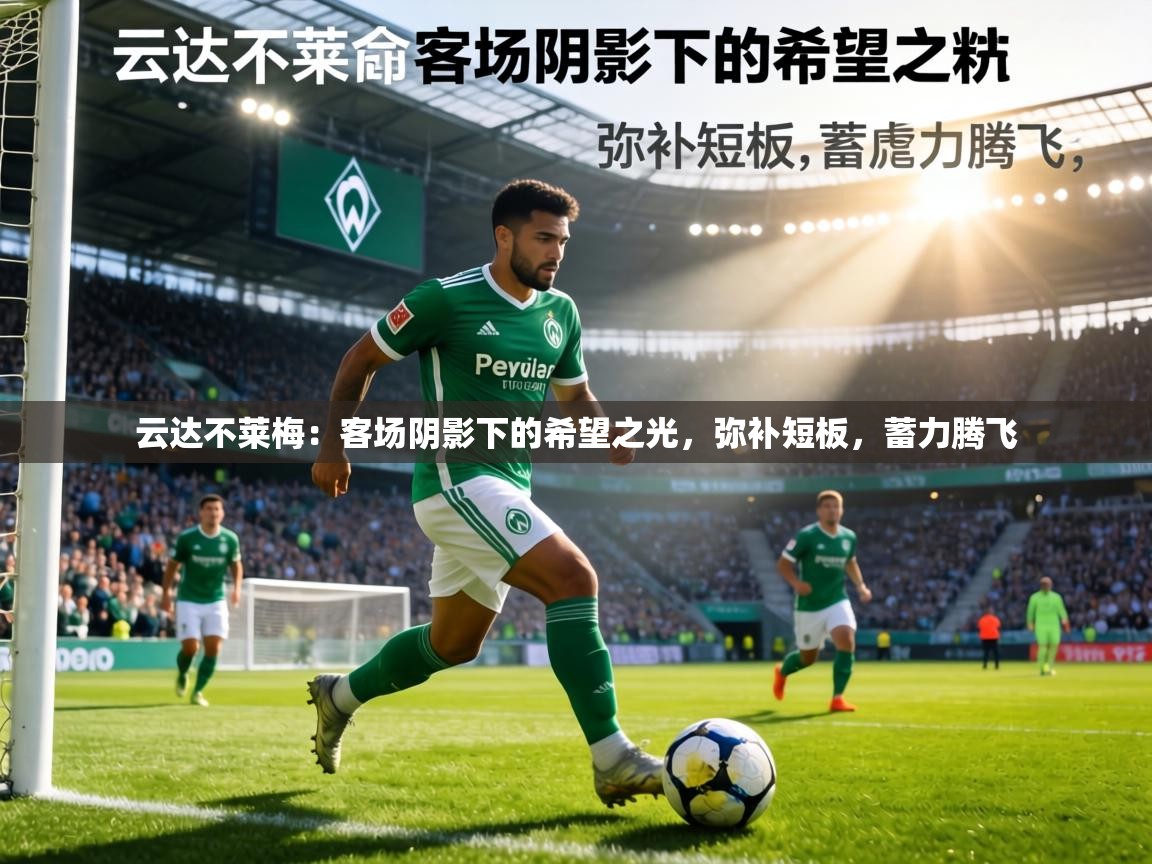 云达不莱梅：客场阴影下的希望之光，弥补短板，蓄力腾飞  第1张