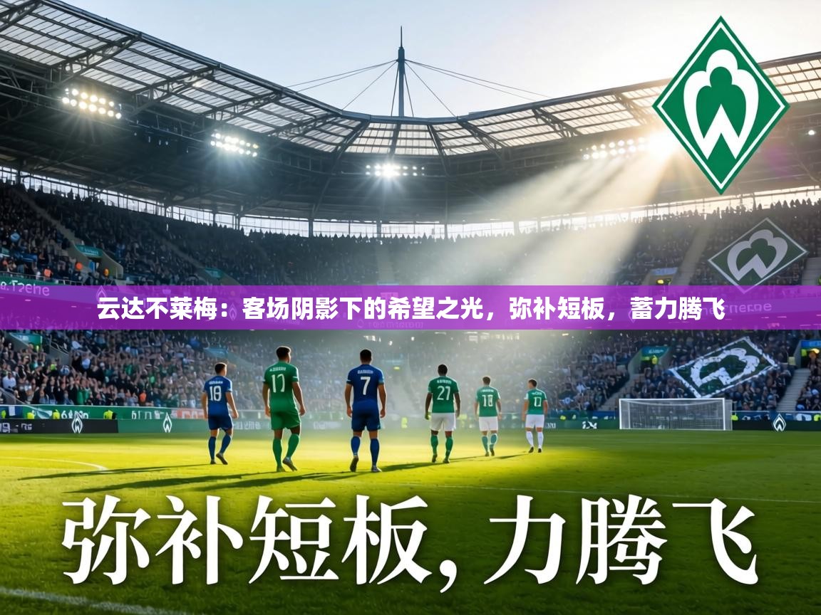 云达不莱梅：客场阴影下的希望之光，弥补短板，蓄力腾飞  第2张